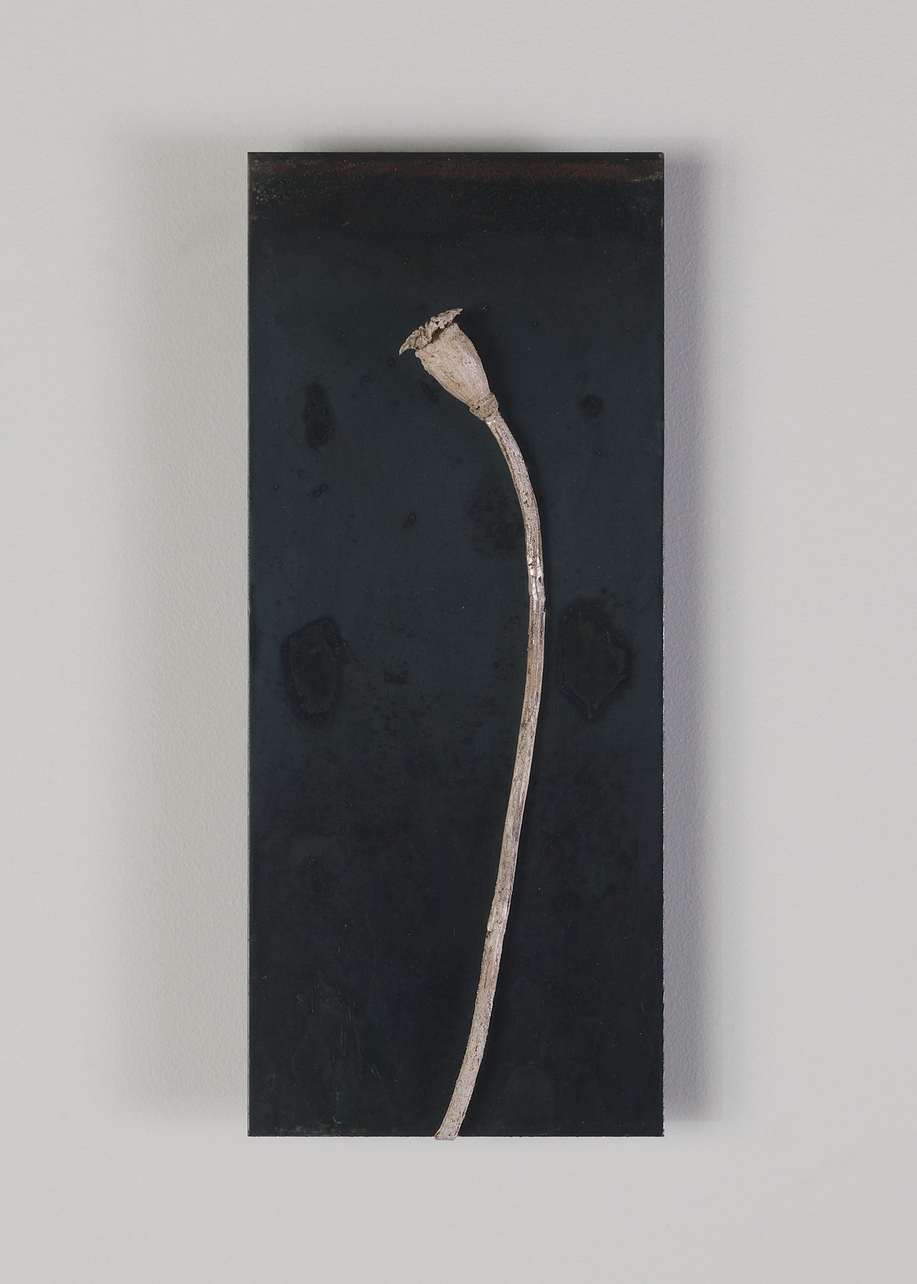 WALL PIECE WITH POPPY, AN HOMAGE TO ANSELM KEIFFER BY DIANE TINTOR